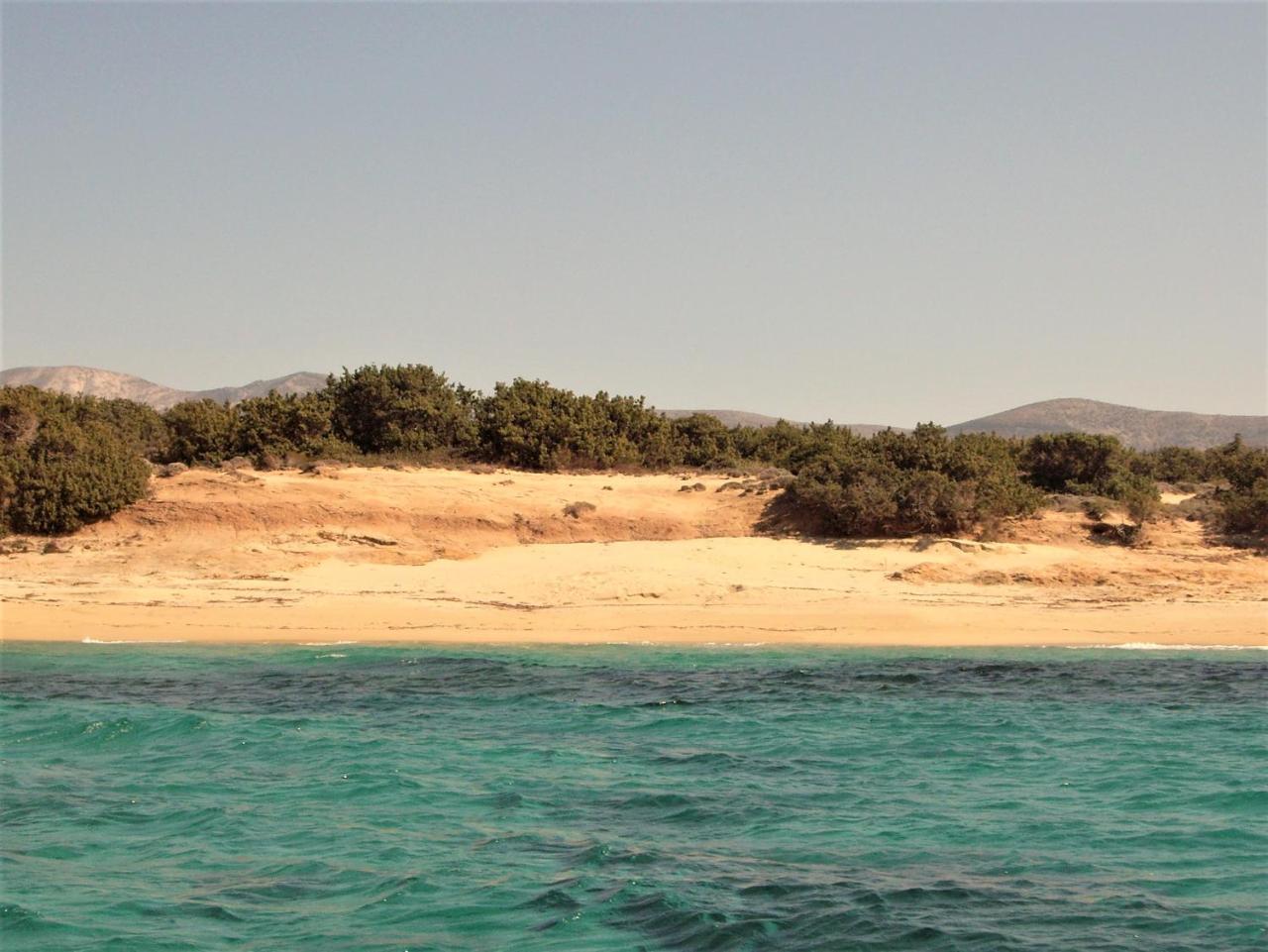 Villa Faros Small Hotel & Restaurant Алико-Бич Экстерьер фото